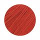 LANDLUST Alpaca Merino 100, 50g | Lana Grossa – rosso,  thumbnail number 2