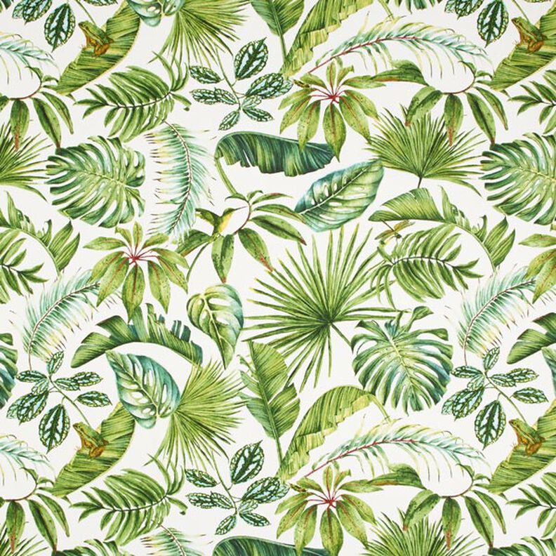 tessuto arredo mezzo panama foglie esotiche – verde/bianco,  image number 1