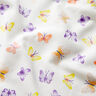 jersey di cotone Farfalle con brillantini – bianco lana/argento,  thumbnail number 2