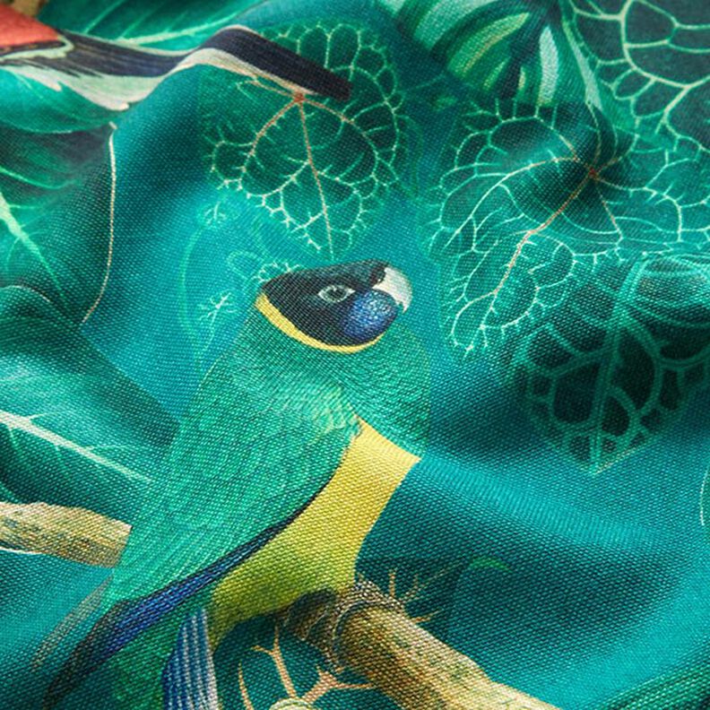 tessuto arredo tessuto canvas uccelli del paradiso – verde scuro,  image number 2