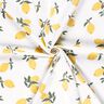 jersey di cotone Grandi limoni – avorio/oro,  thumbnail number 3