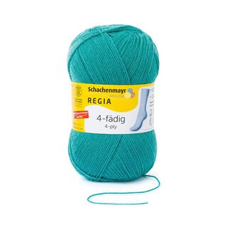 Regia tinta unita 4 capi, 100 g, Schachenmayr 6629, 