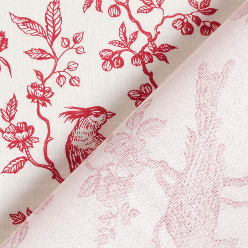 tessuto in cotone cretonne Uccelli – rosso/bianco lana,  image number 4