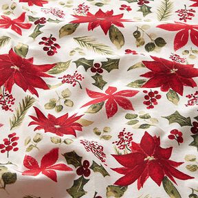 tessuto arredo tessuti canvas Fiori di stella di Natale – bianco lana/rosso carminio, 