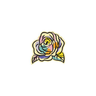 applicazione, rosa  – mix di colori, 