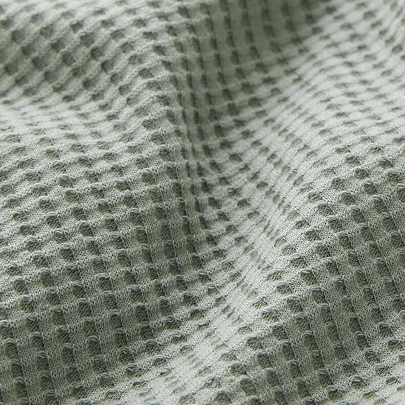 jersey di cotone nido d’ape tinta unita – canna palustre,  image number 2