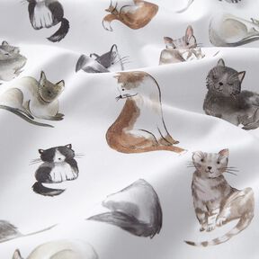 popeline di cotone Gatti felici stampa digitale | Poppy Fabrics – bianco, 