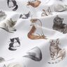 popeline di cotone Gatti felici stampa digitale | Poppy Fabrics – bianco,  thumbnail number 2