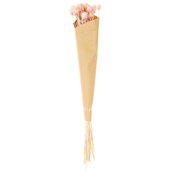 cardo giapponese essiccato [ 50 g ] | Rico Design – pink,  image number 5