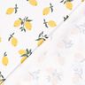 jersey di cotone Grandi limoni – avorio/oro,  thumbnail number 4