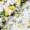 tessuto in cotone cretonne Rami di limone – bianco/giallo limone,  thumbnail number 4