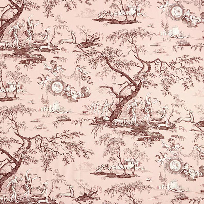 tessuto arredo tessuti canvas antichità 280 cm – rosa chiaro/marrone,  image number 1