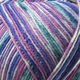 Regia 4 capi by Arne&Carlos, Schachenmayr 3653,  thumbnail number 2
