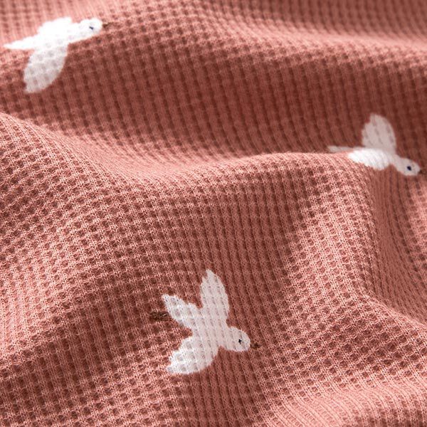 Jersey a nido d’ape uccelli – rosa anticato, image number 3