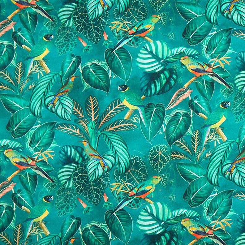 tessuto arredo tessuto canvas uccelli del paradiso – verde scuro,  image number 1