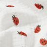 mussolina / tessuto doppio increspato coccinella – avorio,  thumbnail number 2