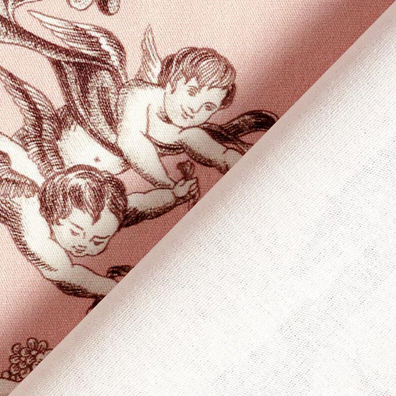 tessuto arredo tessuti canvas antichità 280 cm – rosa chiaro/marrone,  image number 4