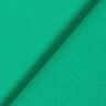 French terry leggero tinta unita – verde,  thumbnail number 4