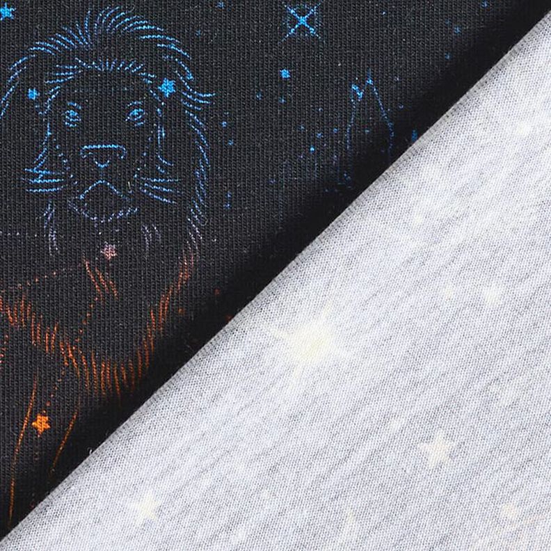 jersey di cotone Tessuto oggetto di licenza animali araldici costellazioni Harry Potter | Warner,  image number 4