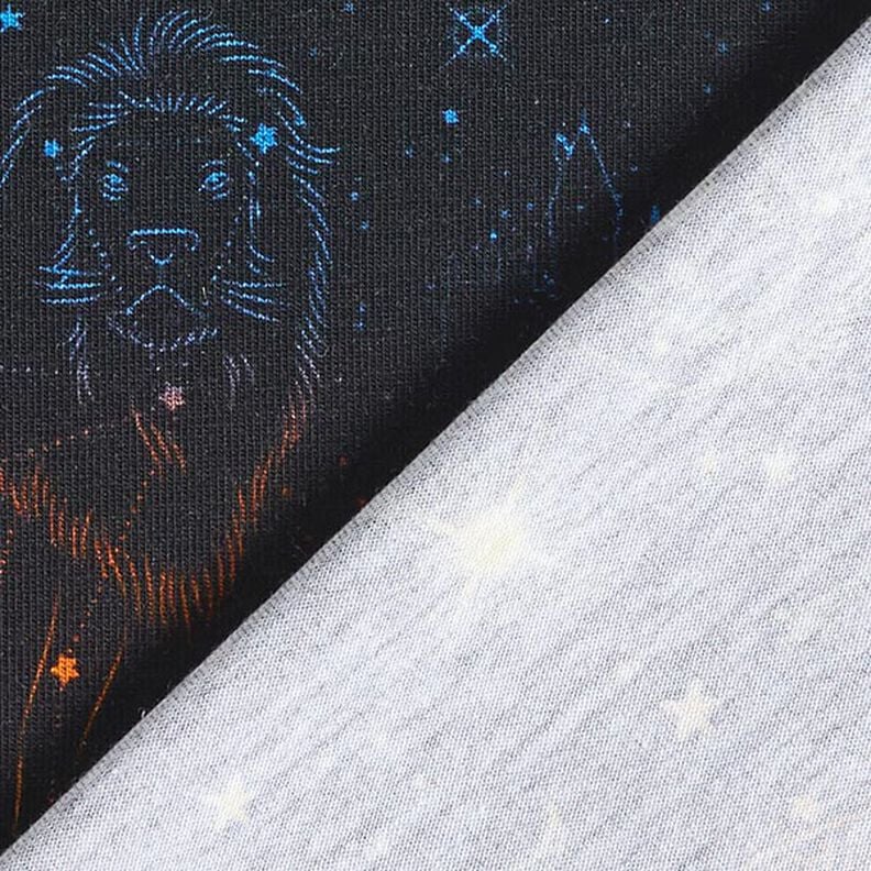 jersey di cotone Tessuto oggetto di licenza animali araldici costellazioni Harry Potter  | Warner,  image number 4