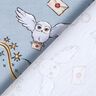 jersey di cotone Mondo magico di Harry Potter | Warner Bros. – azzurro,  thumbnail number 4