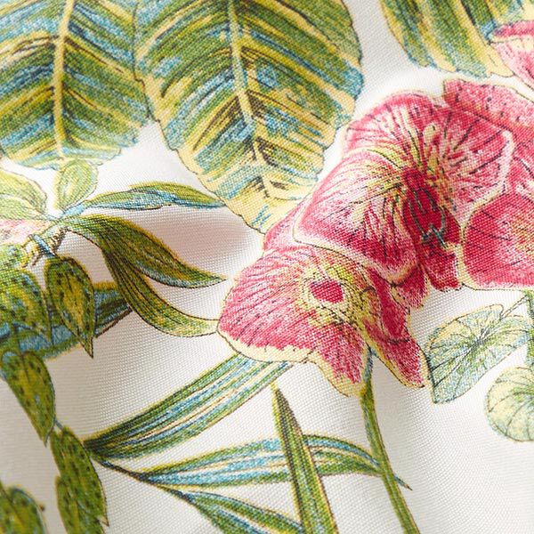 Tessuti da esterni Acrisol Bouquet – naturale, image number 2