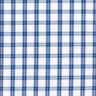 Camicia in tessuto di cotone a quadri – bianco/blu,  thumbnail number 1