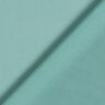 Chiffon – canna palustre,  thumbnail number 4