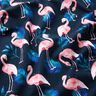 jersey di cotone Fenicottero | Glitzerpüppi – blu notte/rosa chiaro,  thumbnail number 2