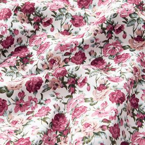 popeline di cotone rose selvatiche – bianco/malva, 