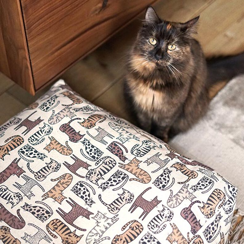 tessuto arredo mezzo panama gatti – naturale, image number 6