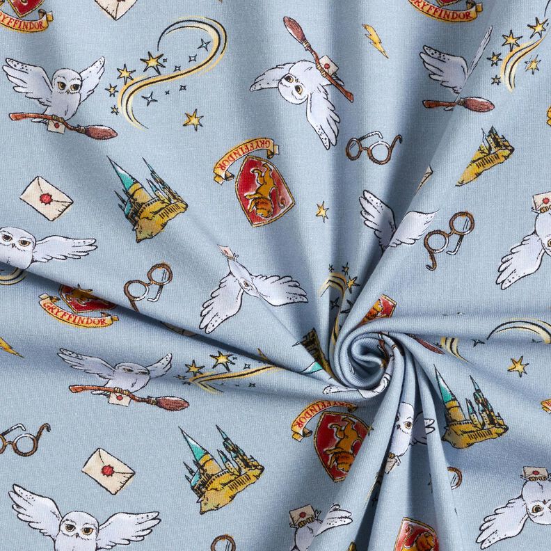 jersey di cotone Mondo magico di Harry Potter | Warner Bros. – azzurro,  image number 3