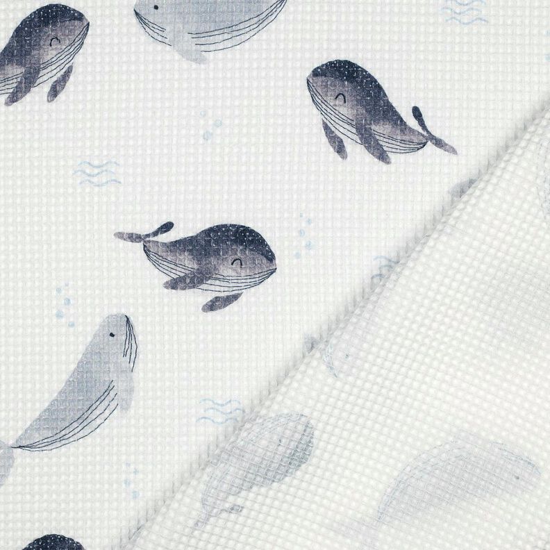 piqué nido d’ape balene stampa digitale | Poppy Fabrics – avorio/grigio blu,  image number 4