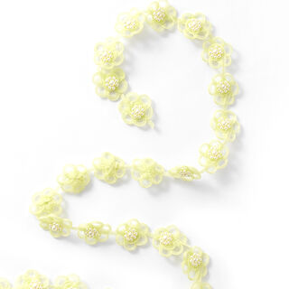 nastro di organza fiori [25 mm] – verde pastello, 