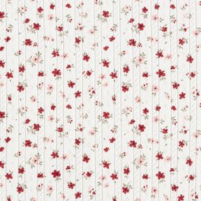 Ajour jersey di cotone Piccoli fiorellini – avorio, 