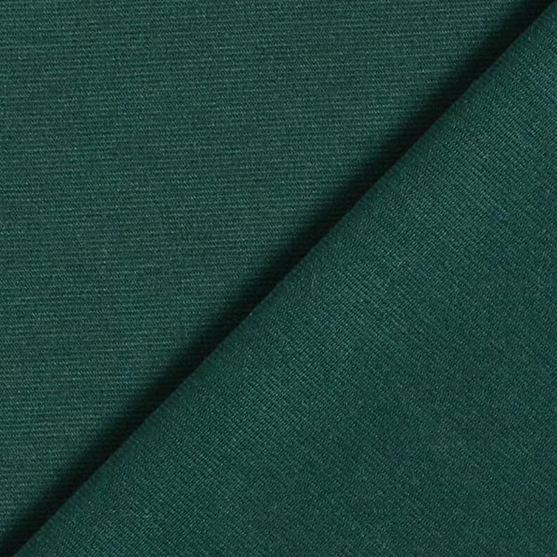 jersey romanit classico – verde scuro,  image number 3