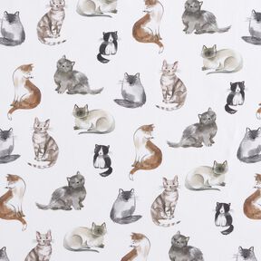 popeline di cotone Gatti felici stampa digitale | Poppy Fabrics – bianco, 