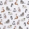 popeline di cotone Gatti felici stampa digitale | Poppy Fabrics – bianco,  thumbnail number 1