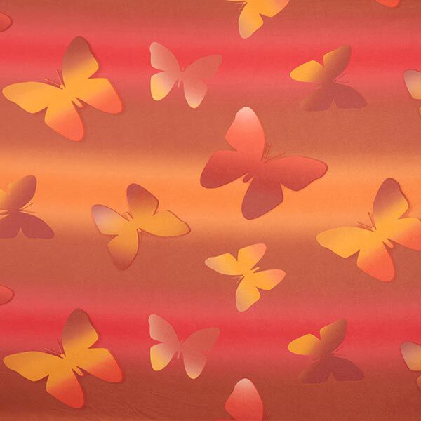 jersey di cotone, farfalle – arancione, image number 1