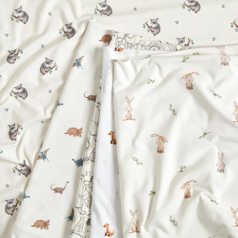 GOTS jersey di cotone Koala stampa digitale – avorio,  image number 5