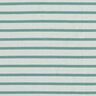 Jersey in cotone a righe strette e larghe – menta chiaro/menta piperita,  thumbnail number 1