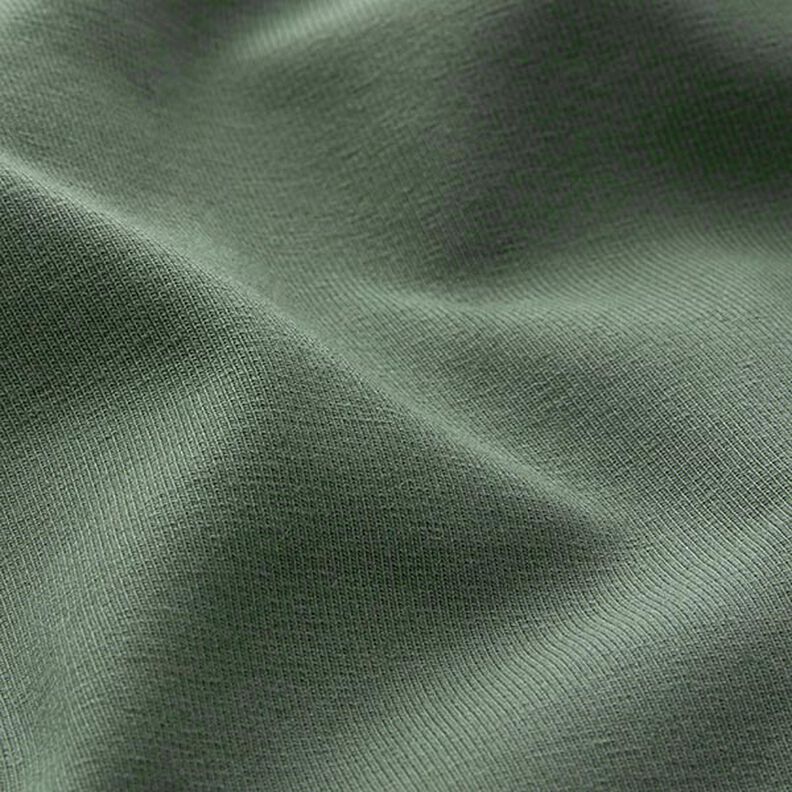 jersey di cotone medio tinta unita – pino,  image number 4