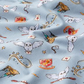 jersey di cotone Mondo magico di Harry Potter | Warner Bros. – azzurro, 