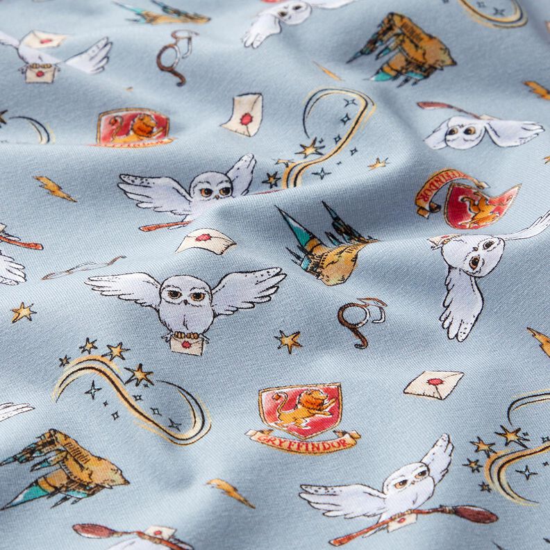 jersey di cotone Mondo magico di Harry Potter | Warner Bros. – azzurro,  image number 2