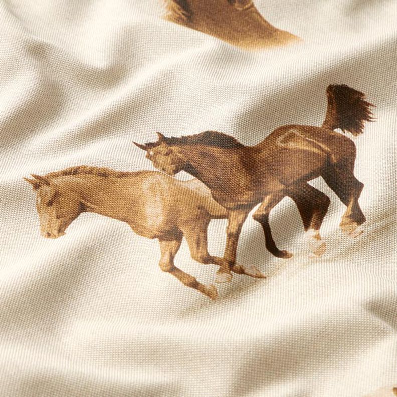 tessuto arredo mezzo panama cavalli,  image number 2